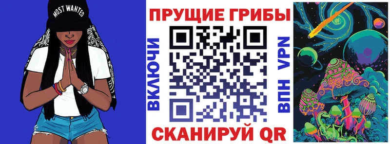 Галлюциногенные грибы Psilocybine cubensis  Козловка 
